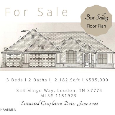 344 Mingo Way