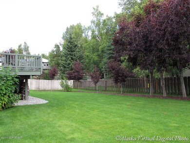 back yard