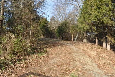 10.064 ACRES Genito Rd, Amelia Ct Hse, VA 23002 - photo 7