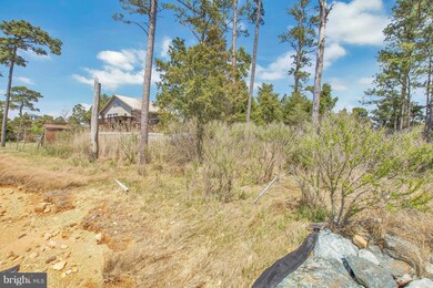 16441 Harms Way, Piney Point, MD 20674 - photo 5