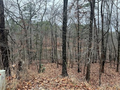 0 Avebury Ln unit 1239408, Bella Vista, AR 72714 - photo 2