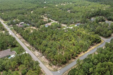 6184 W Eldorado Ln, Beverly Hills, FL 34465 - photo 6