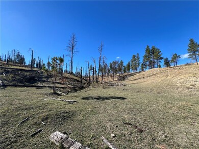 00 E Smith Ln, Other-See Remarks, MT 59058 - photo 6