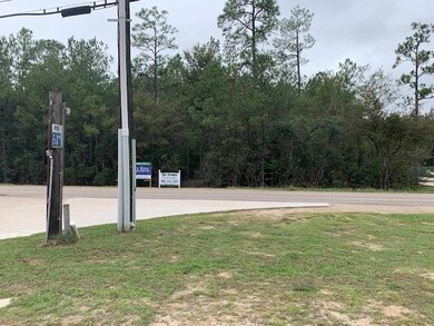 C-2 Louisiana 445, Robert, LA 70455 - photo 4