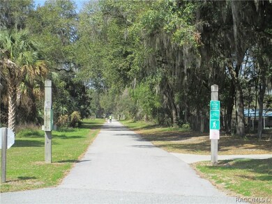 9701 N Langdon Rd, Citrus Springs, FL 34434 - photo 7