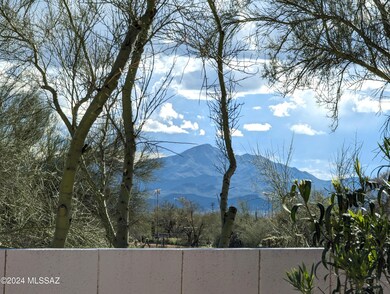 Backyard mountain view