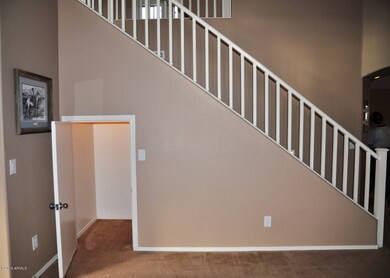 Extra Storage Under Staircase