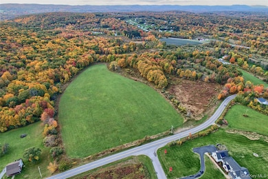 1830 Bruzgul Rd, Lagrangeville, NY 12540 - photo 6