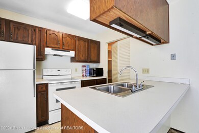 3928 Hunters Ridge Dr unit 1, Lansing, MI 48911 - photo 4