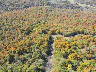 0 Cr 935 unit 1329170, Berryville, AR 72616 - photo 2