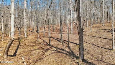 1300 Old Sugar Limb Rd, Loudon, TN 37774 - photo 3