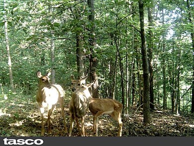 0 Cunningham Dr unit 720240, Bella Vista, AR 72715 - photo 5