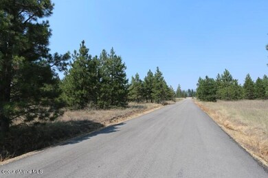 James Way (3)