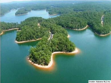 AERIAL VIEW OF CREEK CROSSING