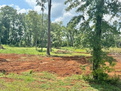 417 Old Tejas Trail W, Hemphill, TX 75948 - photo 6