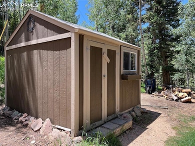70 Cradle Lake Place, Divide, CO 80814 - photo 6