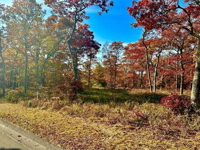 0 Bridle Path Rd, Vineyard Haven, MA 02568 - photo 4