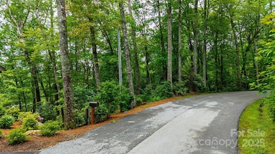 79 & 80 S Shelby Cir unit 79 & 80, Highlands, NC 28741 - photo 2