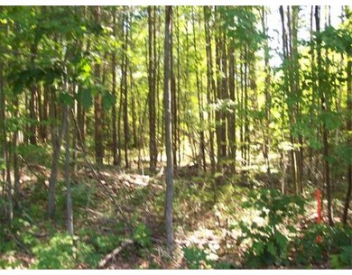 Lot A Wendell Rd, New Salem, MA 01355 - photo 4