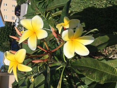 97 Windsor E, West Palm Beach, FL 33417 - photo 5