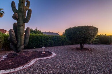 Night Rear Landscaping