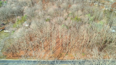 3615 Allegan Dam Rd unit LOT B, Valley Township, MI 49010 - photo 5