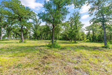 4433 Cr 801, Joshua, TX 76058 - photo 4