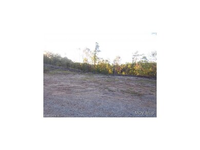 Cleared Possible Bldg Site