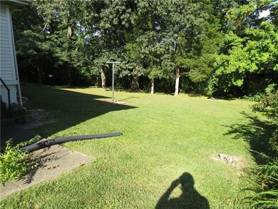 Large Backyard