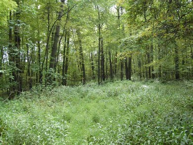Land/Lot.