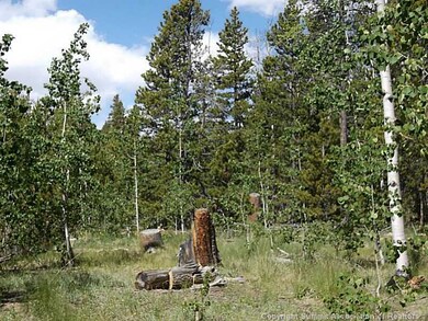 Land/Lot.
