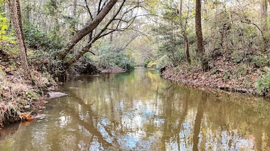 888 Old Hundred Rd, Pelzer, SC 29669 - photo 2