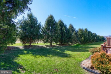 4056 Laurel Ln, Mount Joy, PA 17552 - photo 6