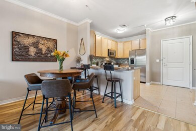 8045 Newell St unit 419, Silver Spring, MD 20910 - photo 4