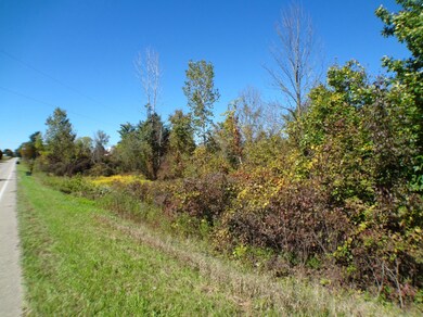 0 135th Ave, Hopkins Township, MI - photo 3
