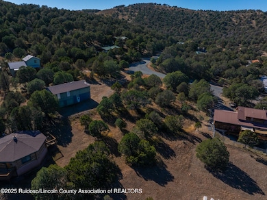 DJI_20251110131823_0476_D