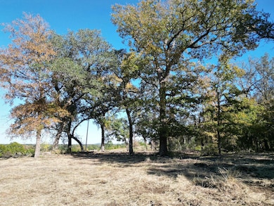 205 Serenity Dr, Liberty Hill, TX 78642 - photo 3