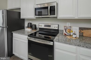 224 Telluride Way unit LANCASTER, Charles Town, WV 25414 - photo 6