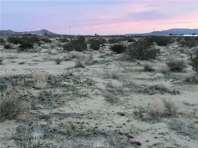 38 Rodeo Rd, Lucerne Valley, CA 92356 - photo 2