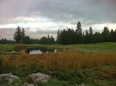 0 Loomis Trail Rd unit 858075, Blaine, WA 98230 - photo 2