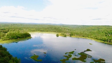 122 Jaketown Rd, Swan Lake, NY 12783 - photo 6