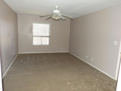 NEWW CARPET