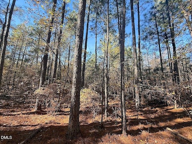 0 T Tarpey Ln, Sanford, NC 27330 - photo 4