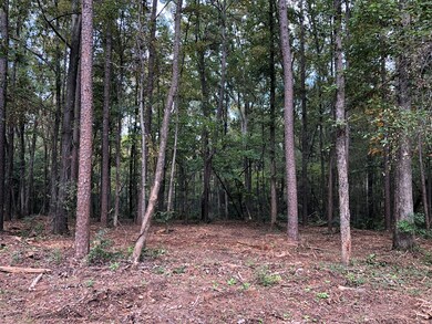 4575 Gray Ln, Evans, GA 30809 - photo 3