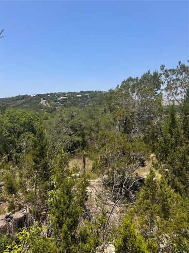 View of tree filled area