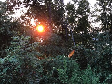 Lot #347 Norris Lake Access, Sunset Bay