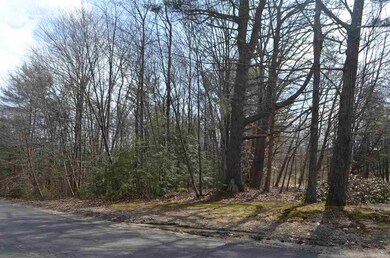 000 Deer Run unit Map 1, Lot 359 J, Henniker, NH 03242 - photo 5