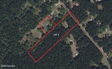 1601 Black River Ln, Harrells, NC 28444 - photo 2