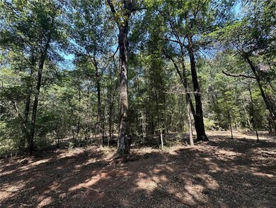 Danner Dr, Wilmer, AL 36587 - photo 4