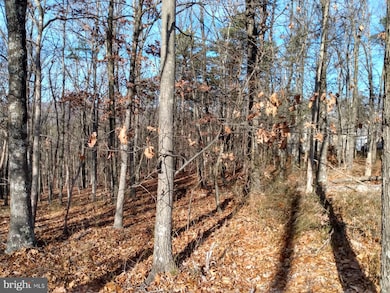 B Timber Ridge Rd, Berkeley Springs, WV 25411 - photo 5